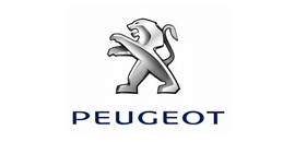 Peugeot - Cliente