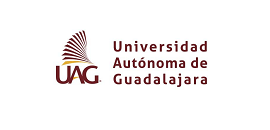 Universidad Autónoma de Guadalajara - Cliente